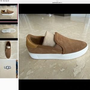 Ugg camel suede slip on sneakers